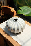 Titanium Onion Vase