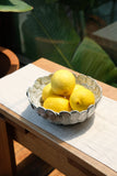 Titanium Coin Shaped Fruit Bowl